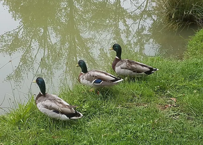 L Occitane Ferienhaus *