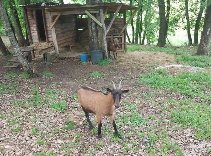 Ferienhaus L Occitane Gimont