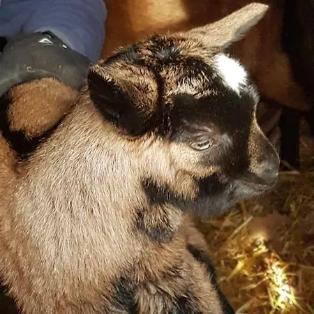 L Occitane Дом отдыха Gimont