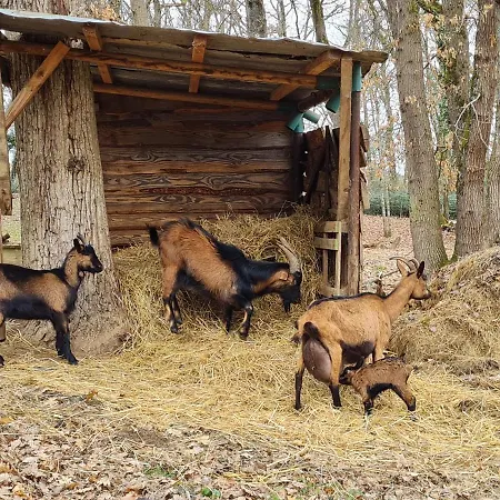 Σπίτι διακοπών L Occitane Gimont