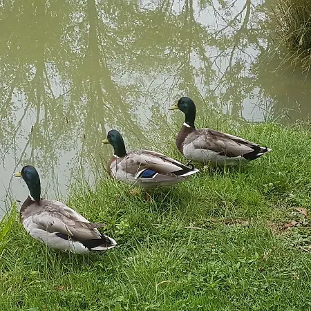 L Occitane Σπίτι διακοπών *