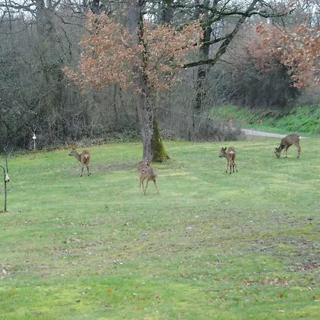 Дом отдыха L Occitane *