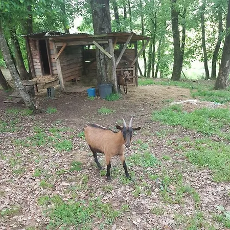 Σπίτι διακοπών L Occitane Gimont