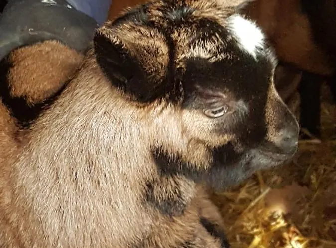 L Occitane Nyaraló Gimont