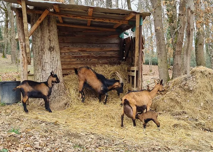 Nyaraló L Occitane Gimont