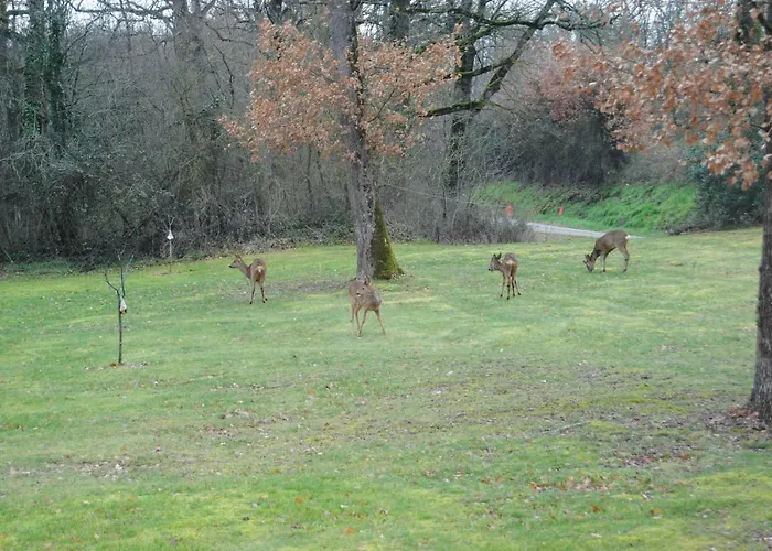 بيت للعطل L Occitane *